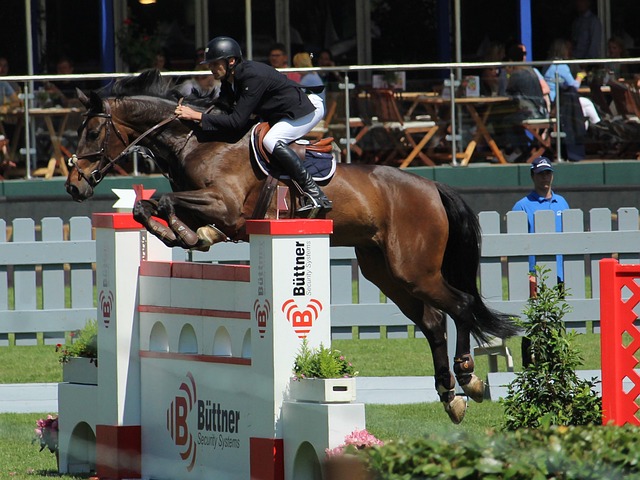 局变得更加 局变得更加