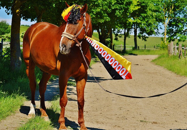 勒沃库森的 勒沃库森的
