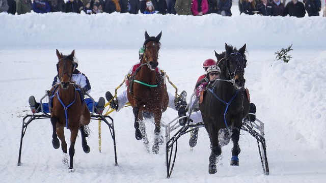 經濟收入 經濟收入