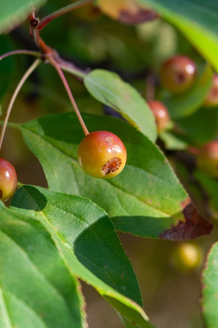 失败的锤炼 失败的锤炼