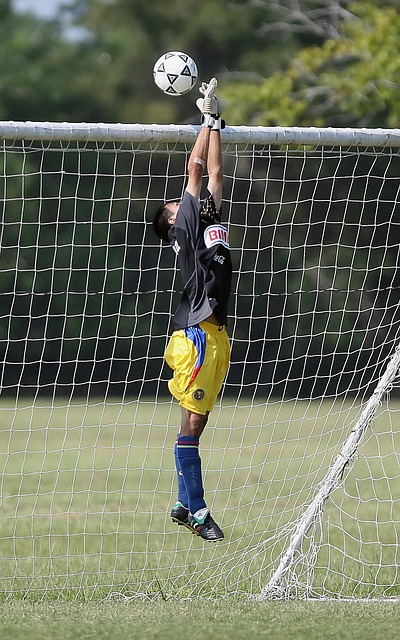 合完美结合 合完美结合