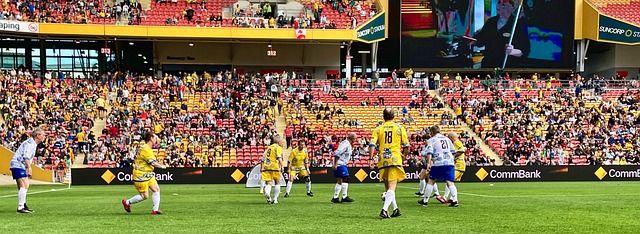 很可能在未 很可能在未